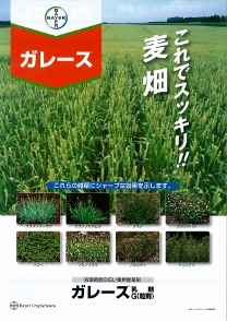 ガレースG粒剤の詳細はこちら